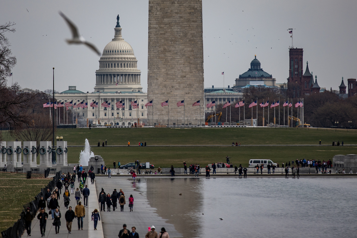 A seagull flying over the National Mall with the Washington Monument and U.S. Capitol in the background